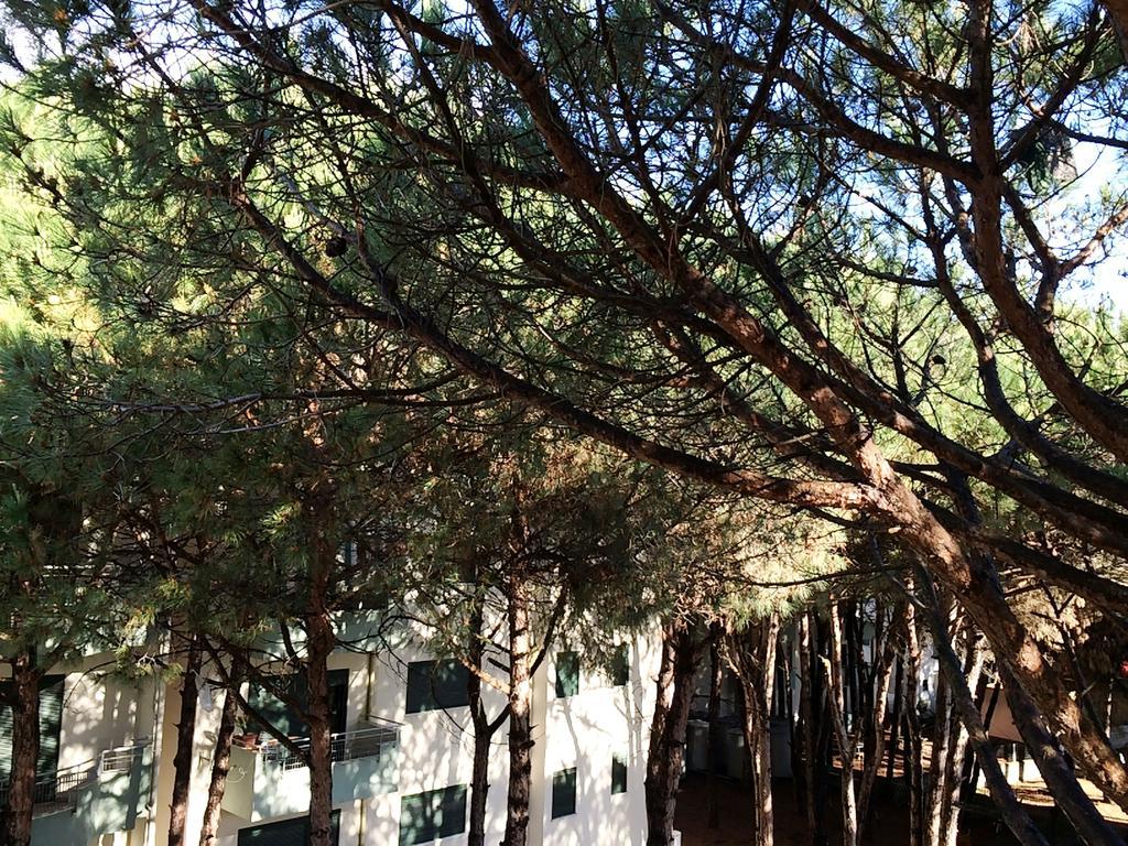 Golem Apartments 部屋 写真