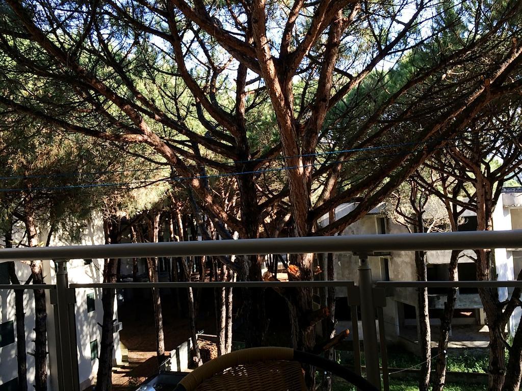 Golem Apartments 部屋 写真